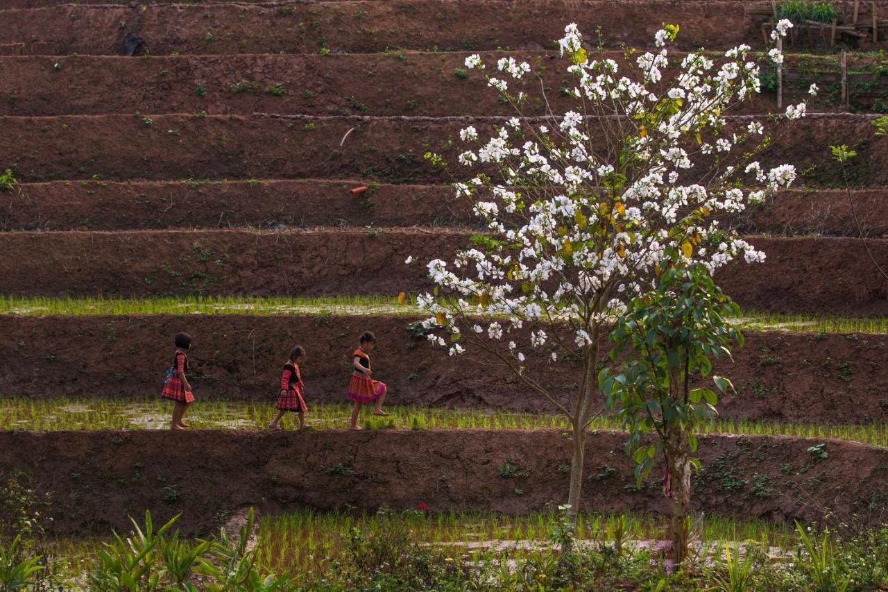 Avana Retreat Mai Chau Exteriér fotografie